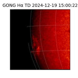 gong - 2024-12-19T15:00:22