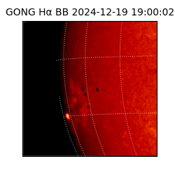 gong - 2024-12-19T19:00:02