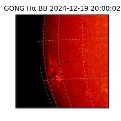 gong - 2024-12-19T20:00:02