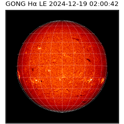 gong - 2024-12-19T02:00:42