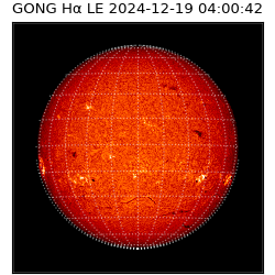 gong - 2024-12-19T04:00:42