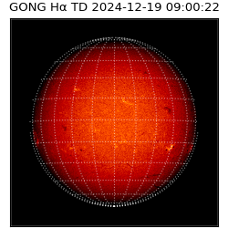 gong - 2024-12-19T09:00:22