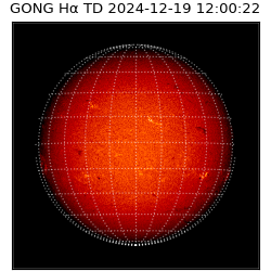 gong - 2024-12-19T12:00:22