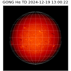 gong - 2024-12-19T13:00:22