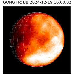 gong - 2024-12-19T16:00:02