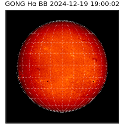 gong - 2024-12-19T19:00:02