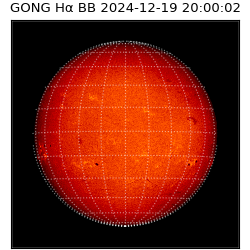 gong - 2024-12-19T20:00:02