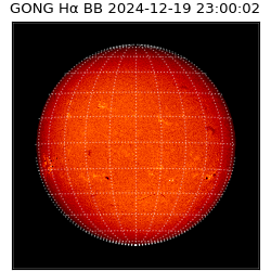 gong - 2024-12-19T23:00:02