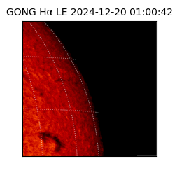 gong - 2024-12-20T01:00:42