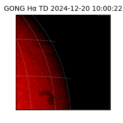 gong - 2024-12-20T10:00:22