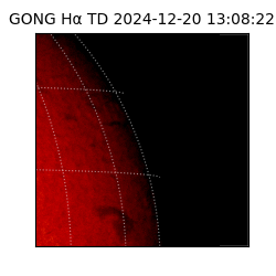 gong - 2024-12-20T13:08:22