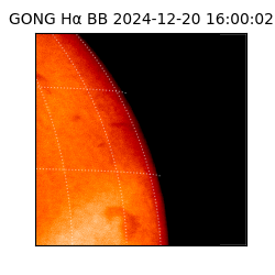 gong - 2024-12-20T16:00:02