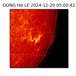 gong - 2024-12-20T05:00:42