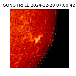 gong - 2024-12-20T07:00:42