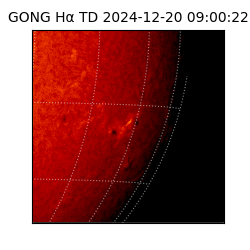 gong - 2024-12-20T09:00:22