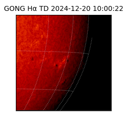 gong - 2024-12-20T10:00:22