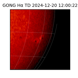 gong - 2024-12-20T12:00:22