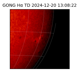 gong - 2024-12-20T13:08:22