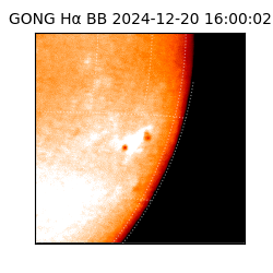 gong - 2024-12-20T16:00:02