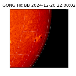 gong - 2024-12-20T22:00:02