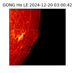 gong - 2024-12-20T03:00:42