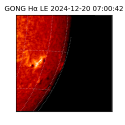 gong - 2024-12-20T07:00:42