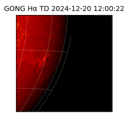 gong - 2024-12-20T12:00:22