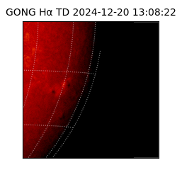 gong - 2024-12-20T13:08:22