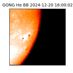 gong - 2024-12-20T16:00:02