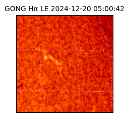 gong - 2024-12-20T05:00:42