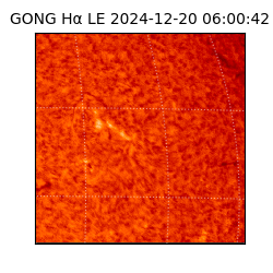 gong - 2024-12-20T06:00:42