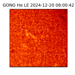 gong - 2024-12-20T08:00:42