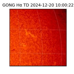 gong - 2024-12-20T10:00:22