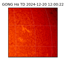 gong - 2024-12-20T12:00:22