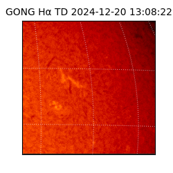 gong - 2024-12-20T13:08:22