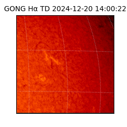 gong - 2024-12-20T14:00:22