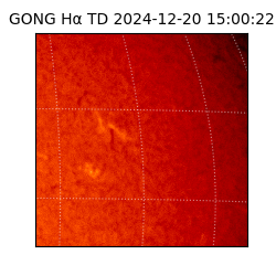 gong - 2024-12-20T15:00:22