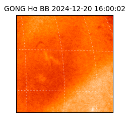 gong - 2024-12-20T16:00:02