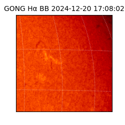 gong - 2024-12-20T17:08:02