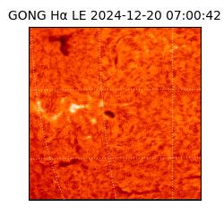 gong - 2024-12-20T07:00:42