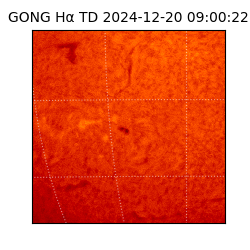 gong - 2024-12-20T09:00:22