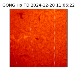 gong - 2024-12-20T11:06:22