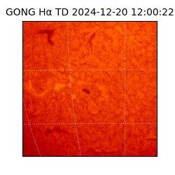 gong - 2024-12-20T12:00:22