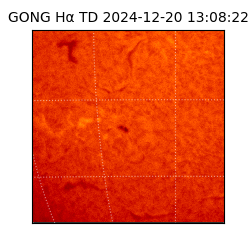 gong - 2024-12-20T13:08:22