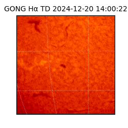 gong - 2024-12-20T14:00:22