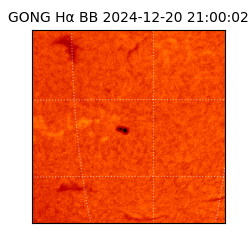 gong - 2024-12-20T21:00:02