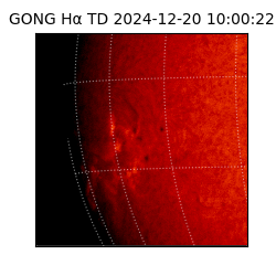 gong - 2024-12-20T10:00:22