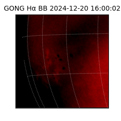 gong - 2024-12-20T16:00:02