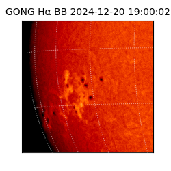 gong - 2024-12-20T19:00:02