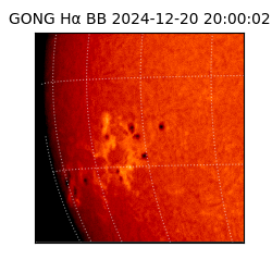 gong - 2024-12-20T20:00:02